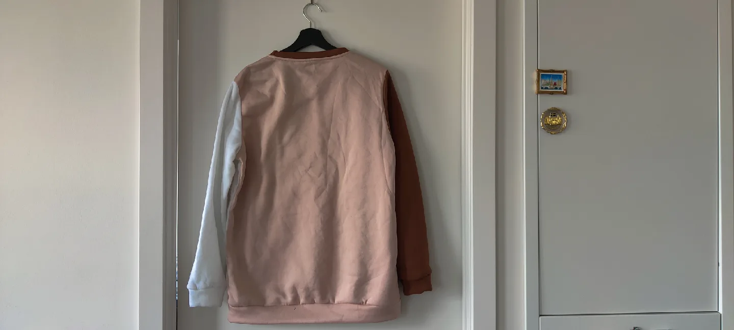 NASA Colour Block Sweatshirt image indicator(3)