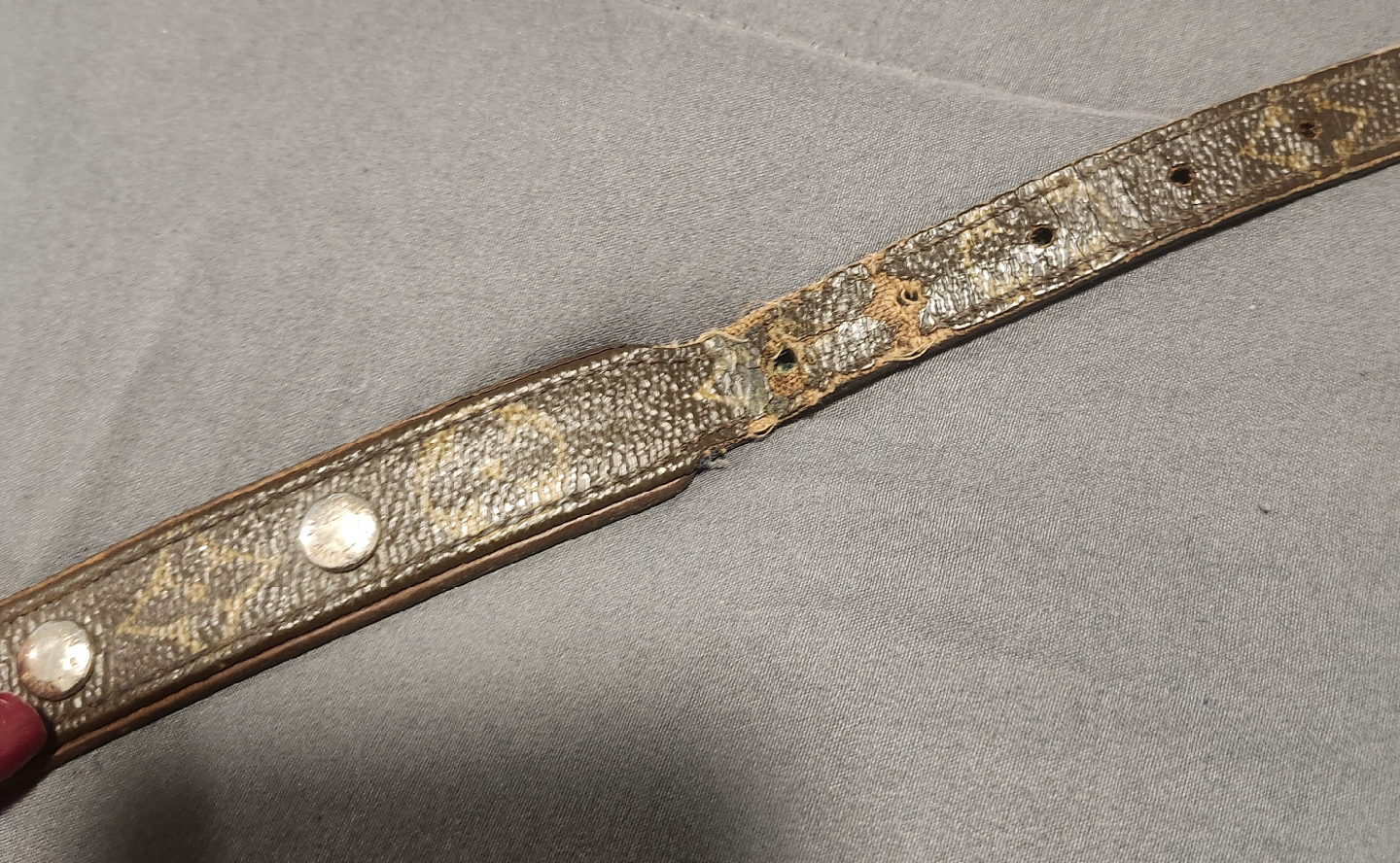 Louis Vuitton Dog Collar - photo 4