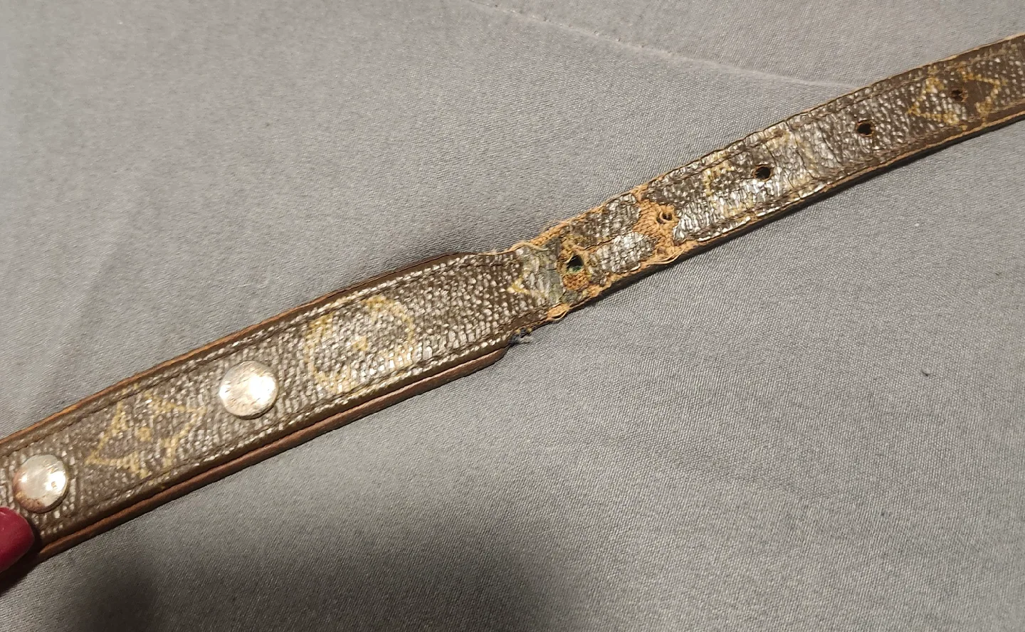 Louis Vuitton Dog Collar image indicator(4)