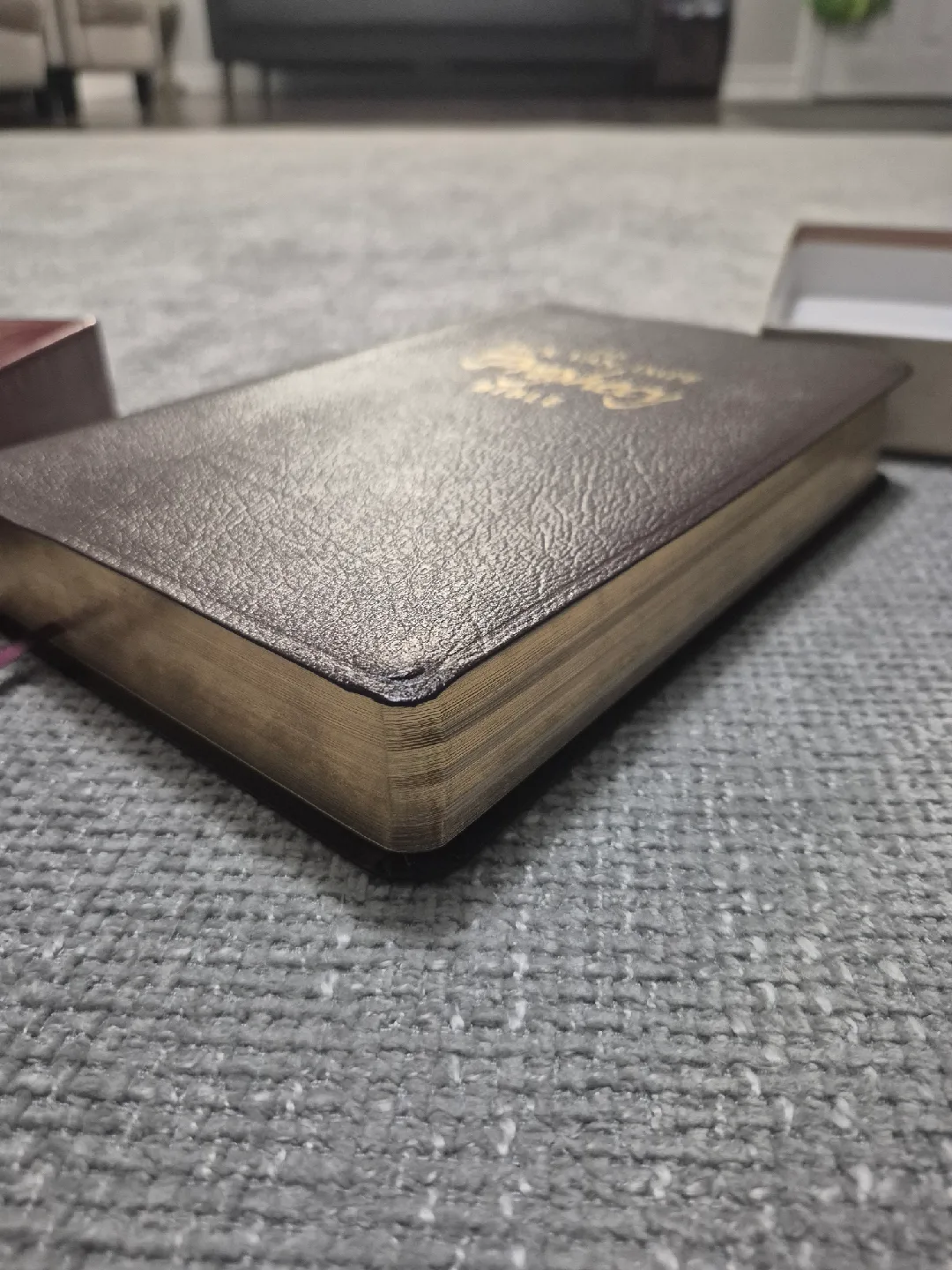 The Jack Van Impe Prophecy Bible KJV image indicator(5)