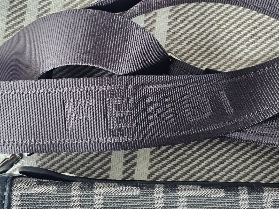 Fendi Roma Crossbody Bag image indicator(6)