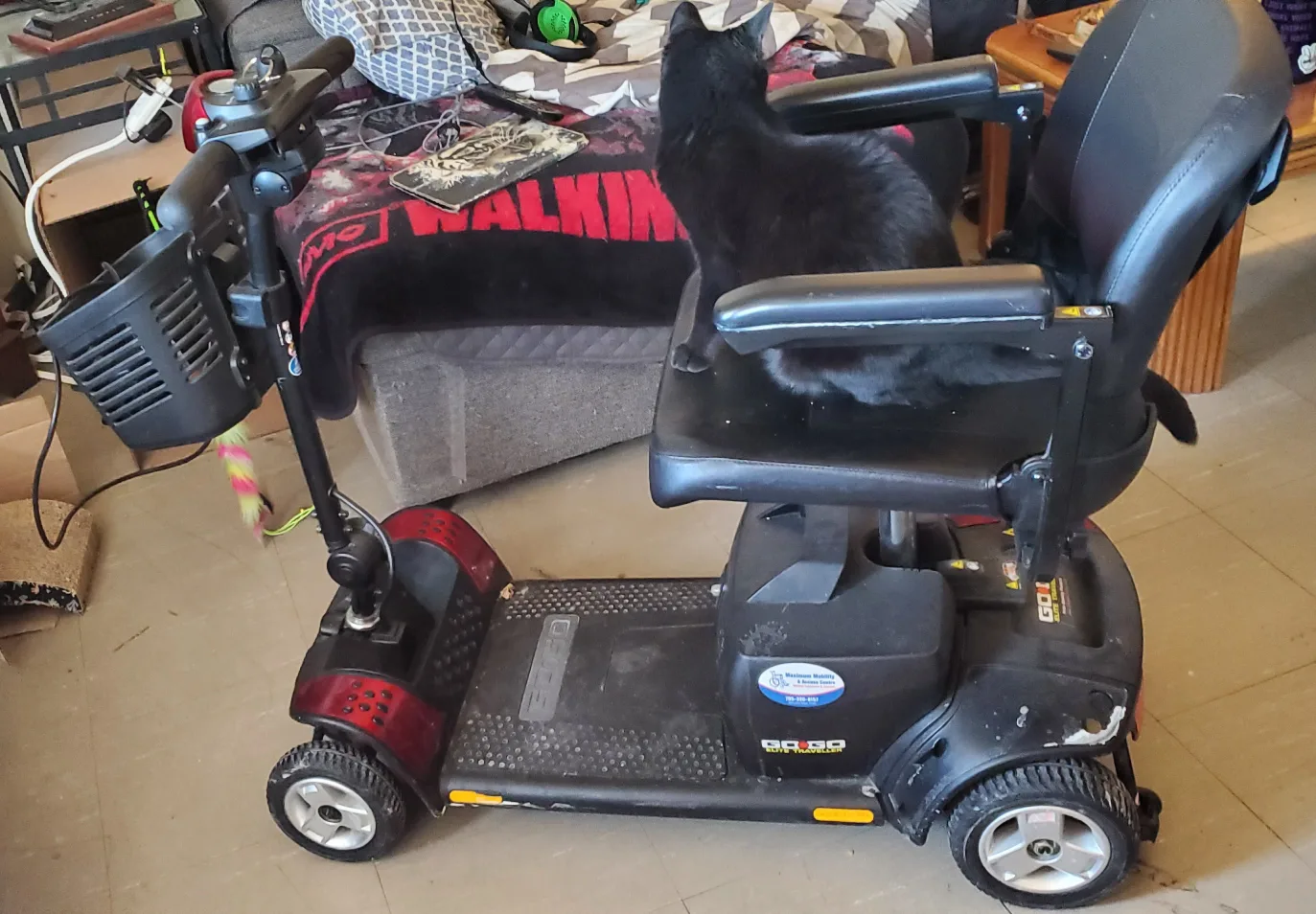 Go-Go Elite Traveller Mobility Scooter image indicator(4)