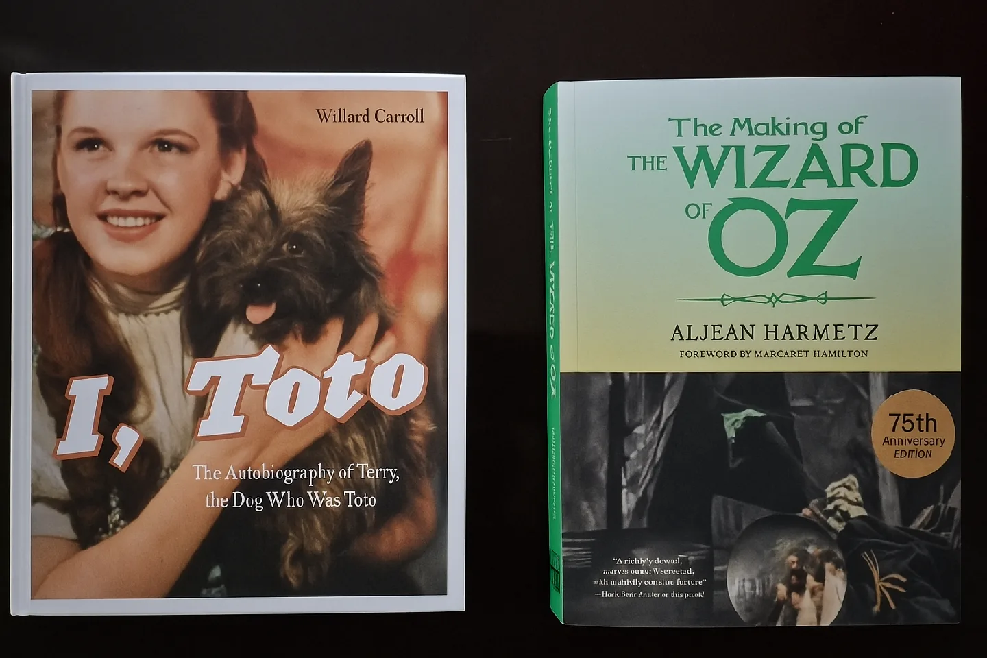 The Wizard Of Oz Books thumbnail