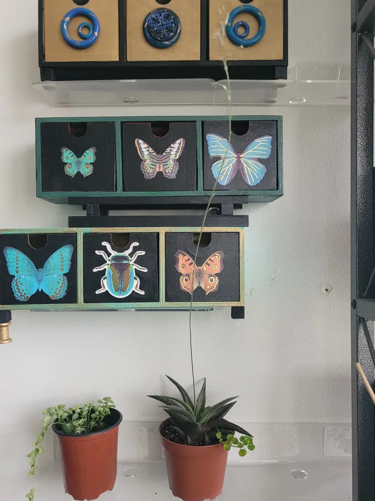 Potted plant that is flowering image indicator(3)