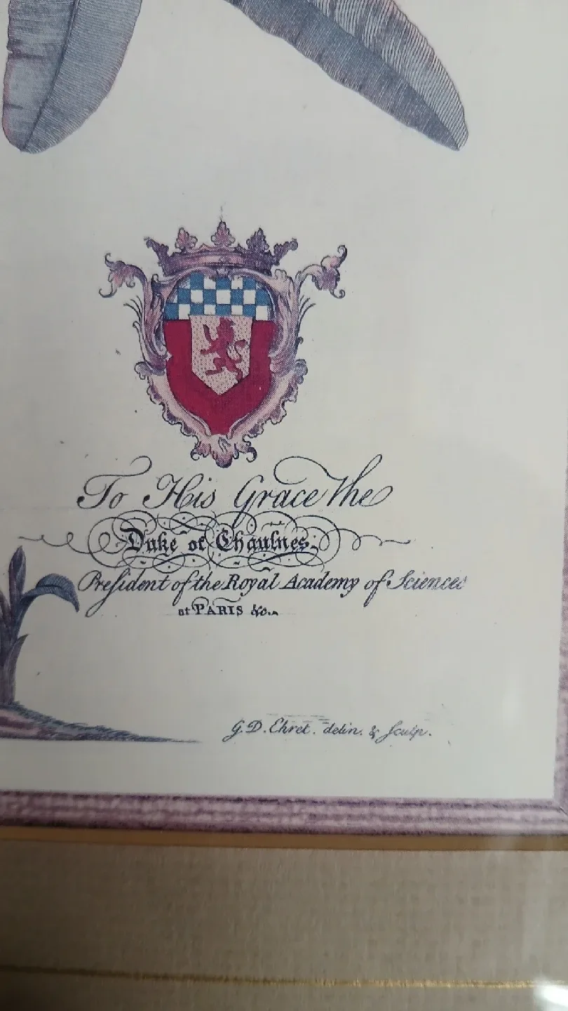 framed palm tree print for $10.00 image indicator(2)