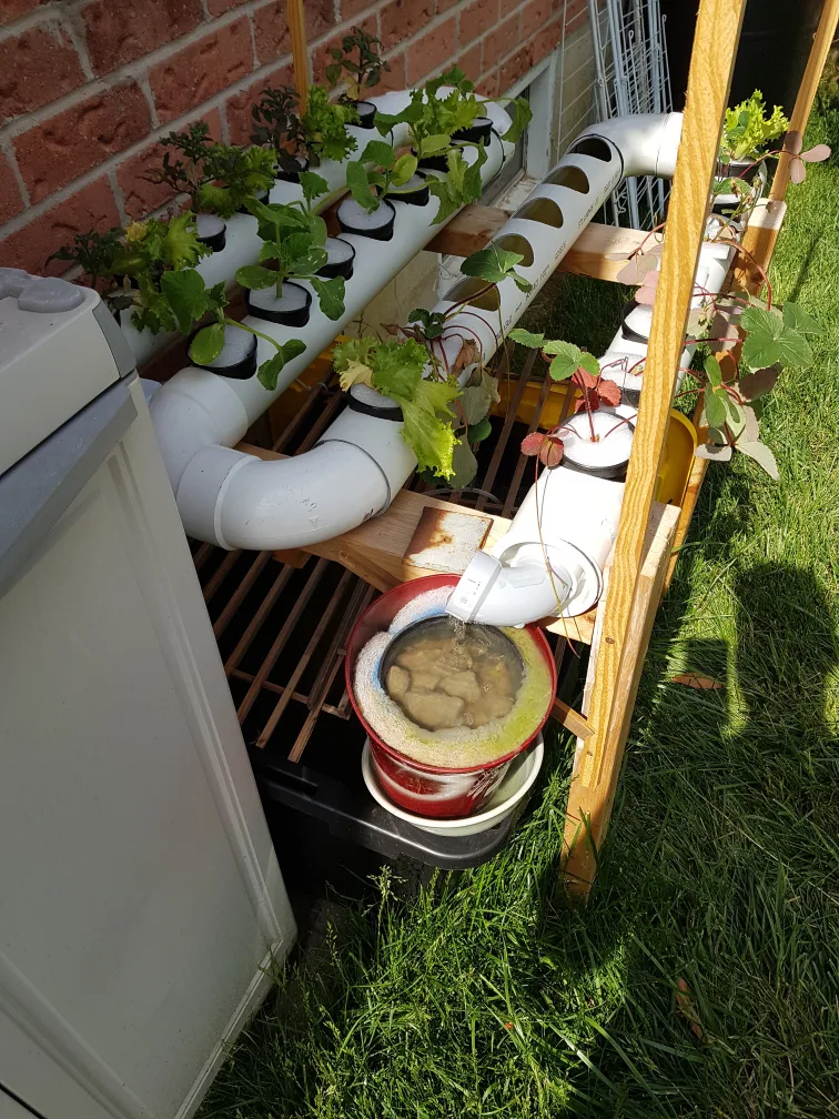 Bed for aquaponic/ hydroponic system image indicator(4)