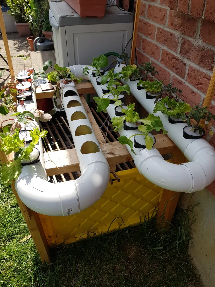 Bed for aquaponic/ hydroponic system image indicator(5)