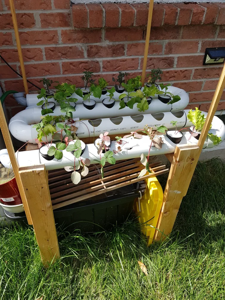 Bed for aquaponic/ hydroponic system image indicator(7)