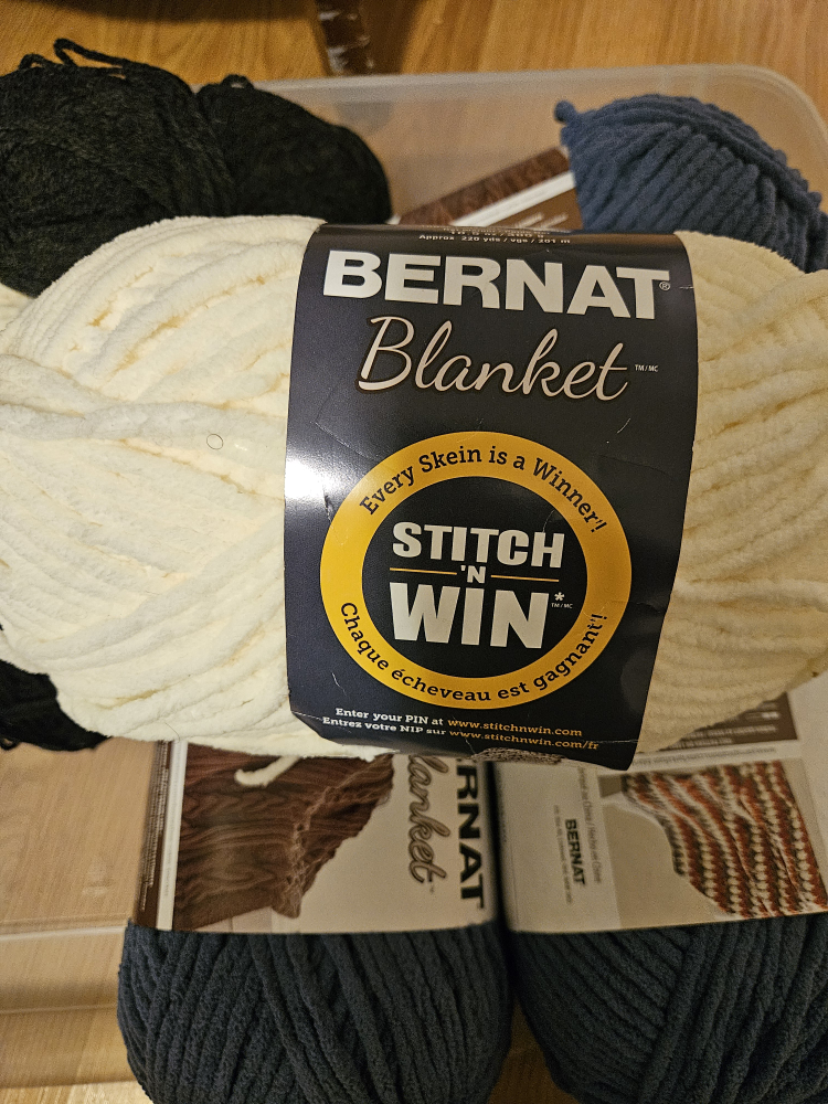 Bernat Blanket Yarn, Vintage White