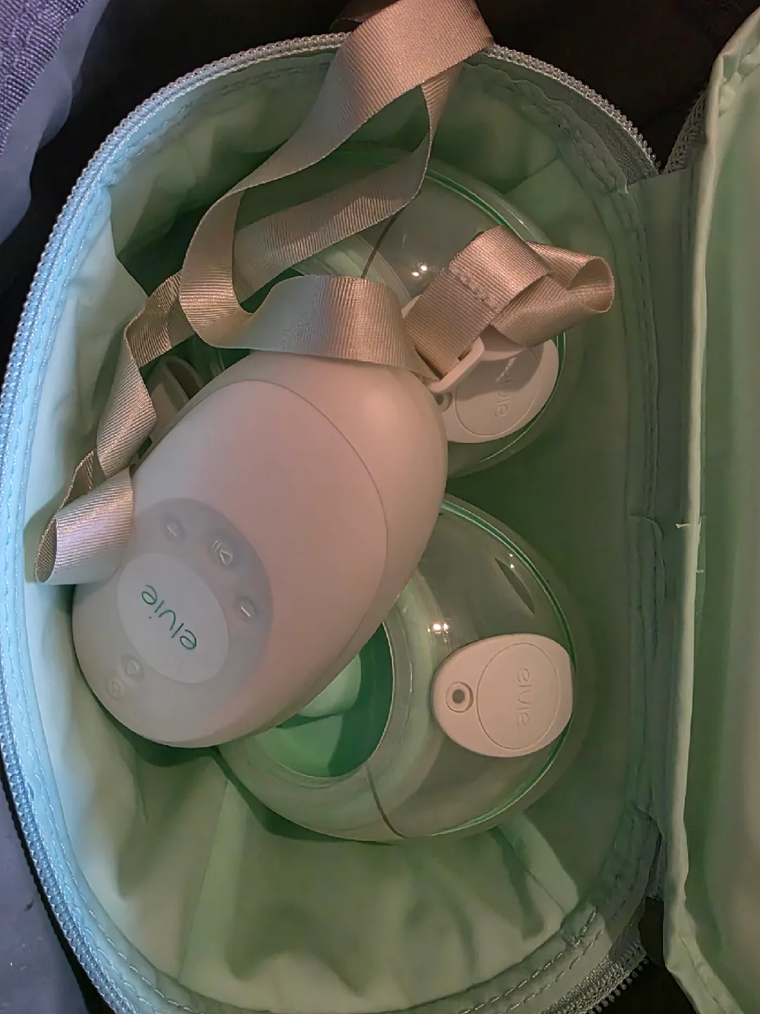 Breast Pumps- Zomee, pumpables and Elvie image indicator(7)