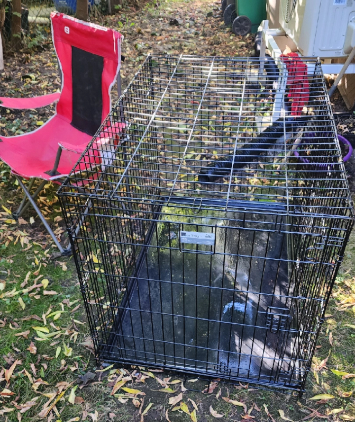 MidWest Contour Large Dog Crate - photo 2