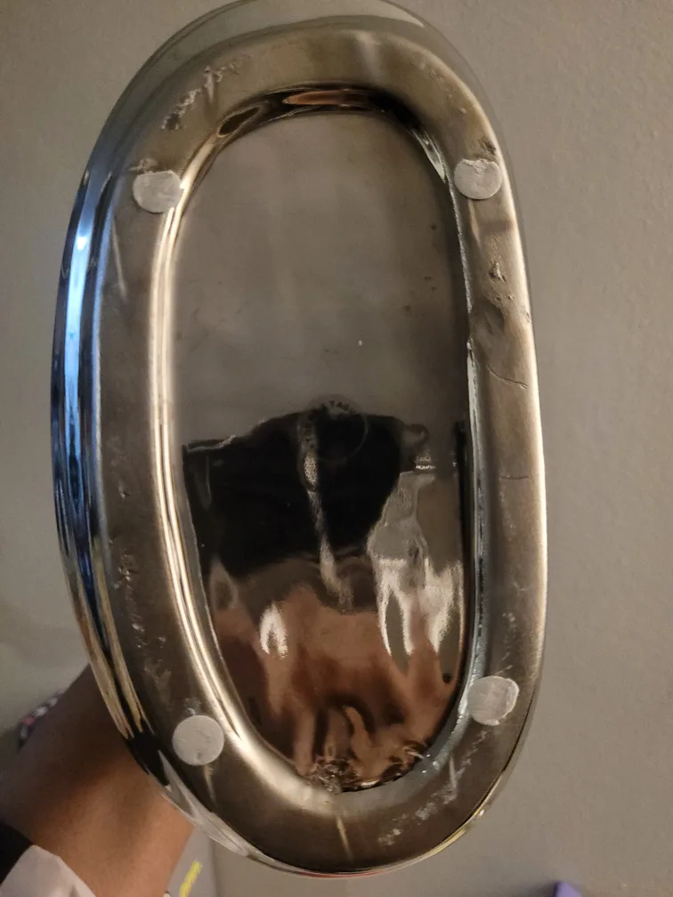 Torre & Tagus Silver Decorative Vase🧡 image indicator(3)