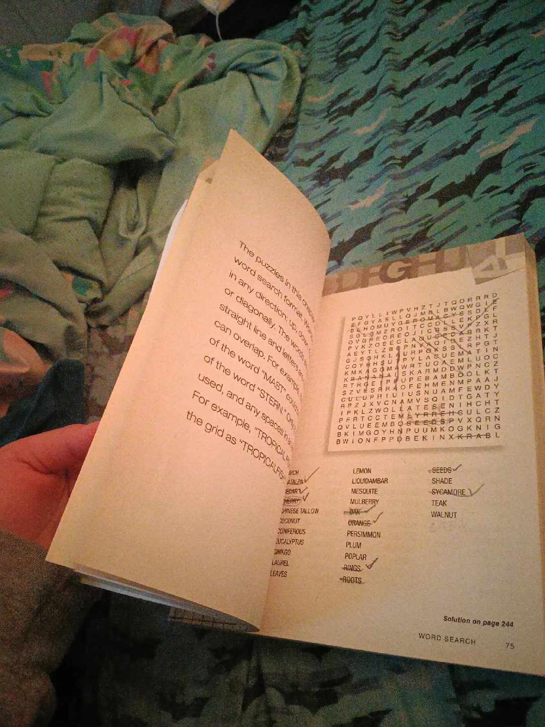 The Everything Crossword & Puzzle Book Vol II image indicator(4)