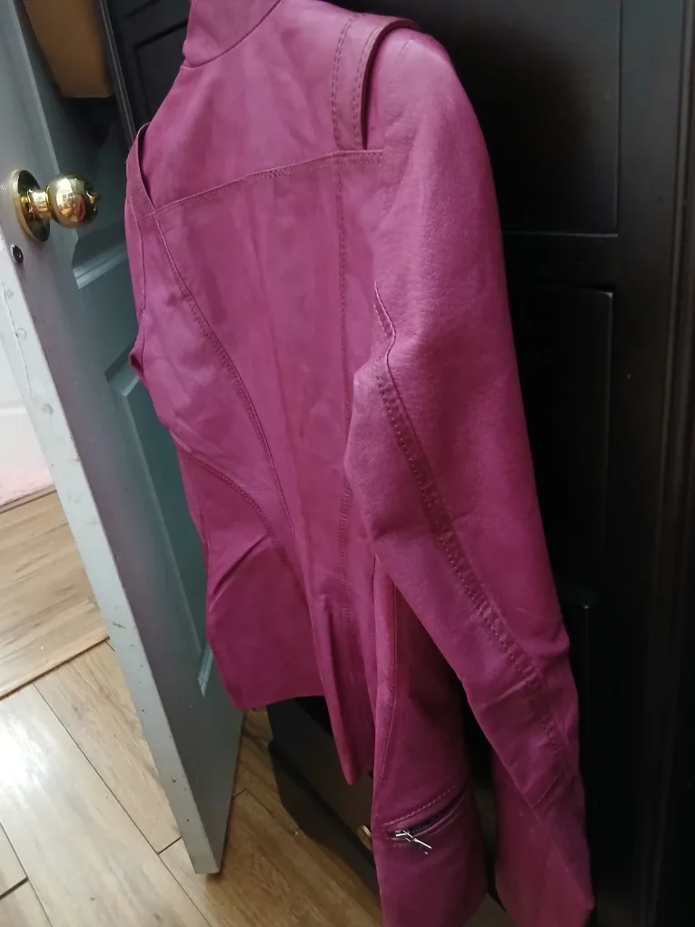 Danier Leather Jacket - Size XS image indicator(4)