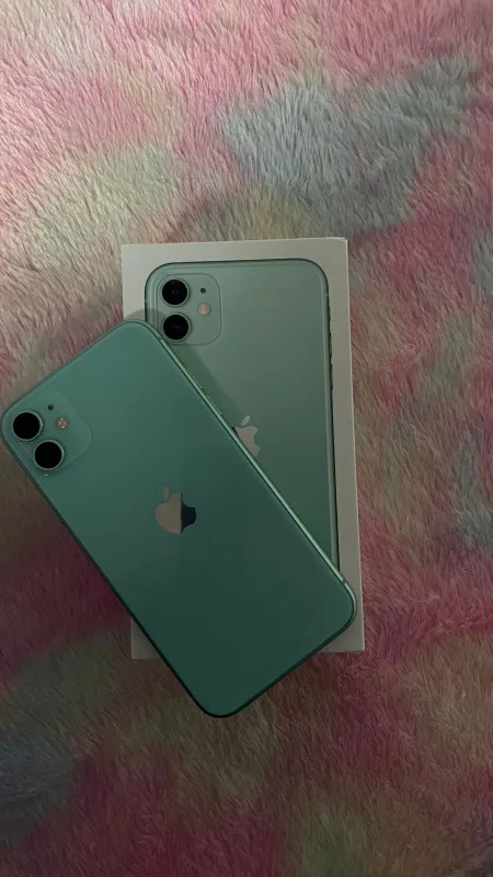 Apple iPhone 11 - Green image indicator(2)