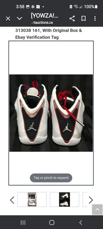 Nike Air Jordan XXI - Size 9.5 Men's image indicator(3)