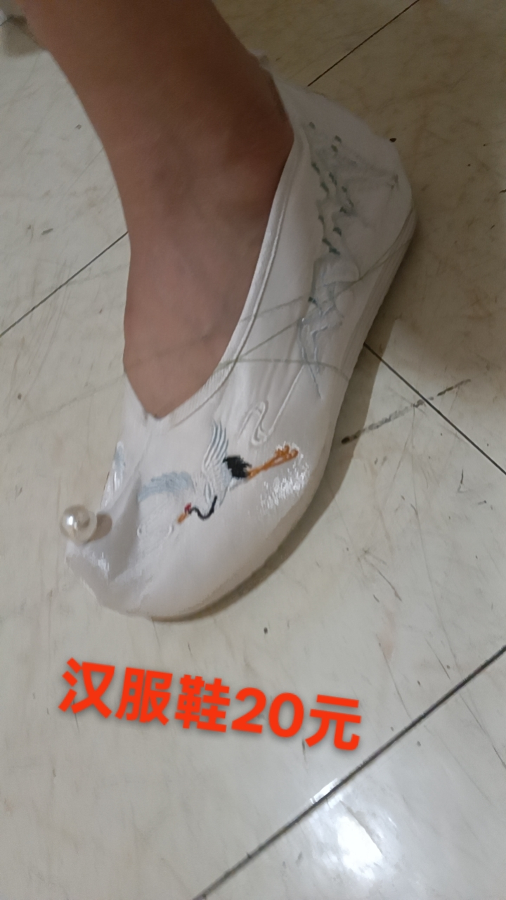 Embroidered Hanfu Shoes