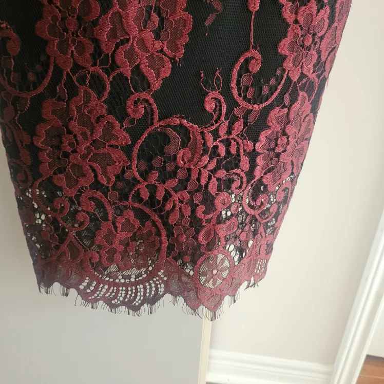 (NEW) Le Chateau Black & Burgundy Lace Dress image indicator(4)