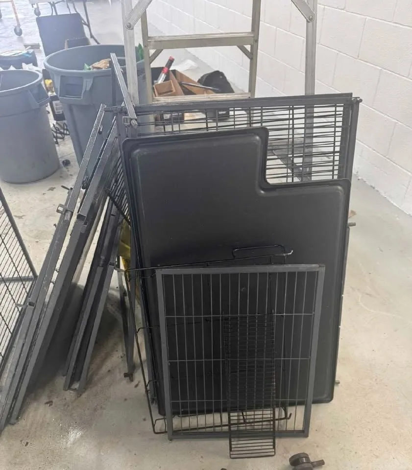 Critter Nation Cage for Ferrets+PENDING image indicator(2)