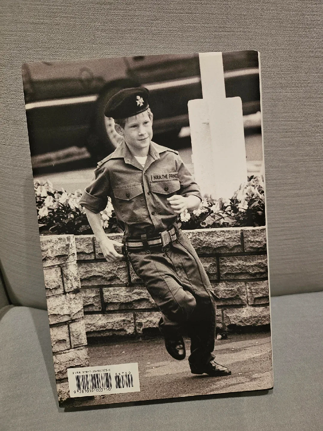 'Spare' by Prince Harry image indicator(2)