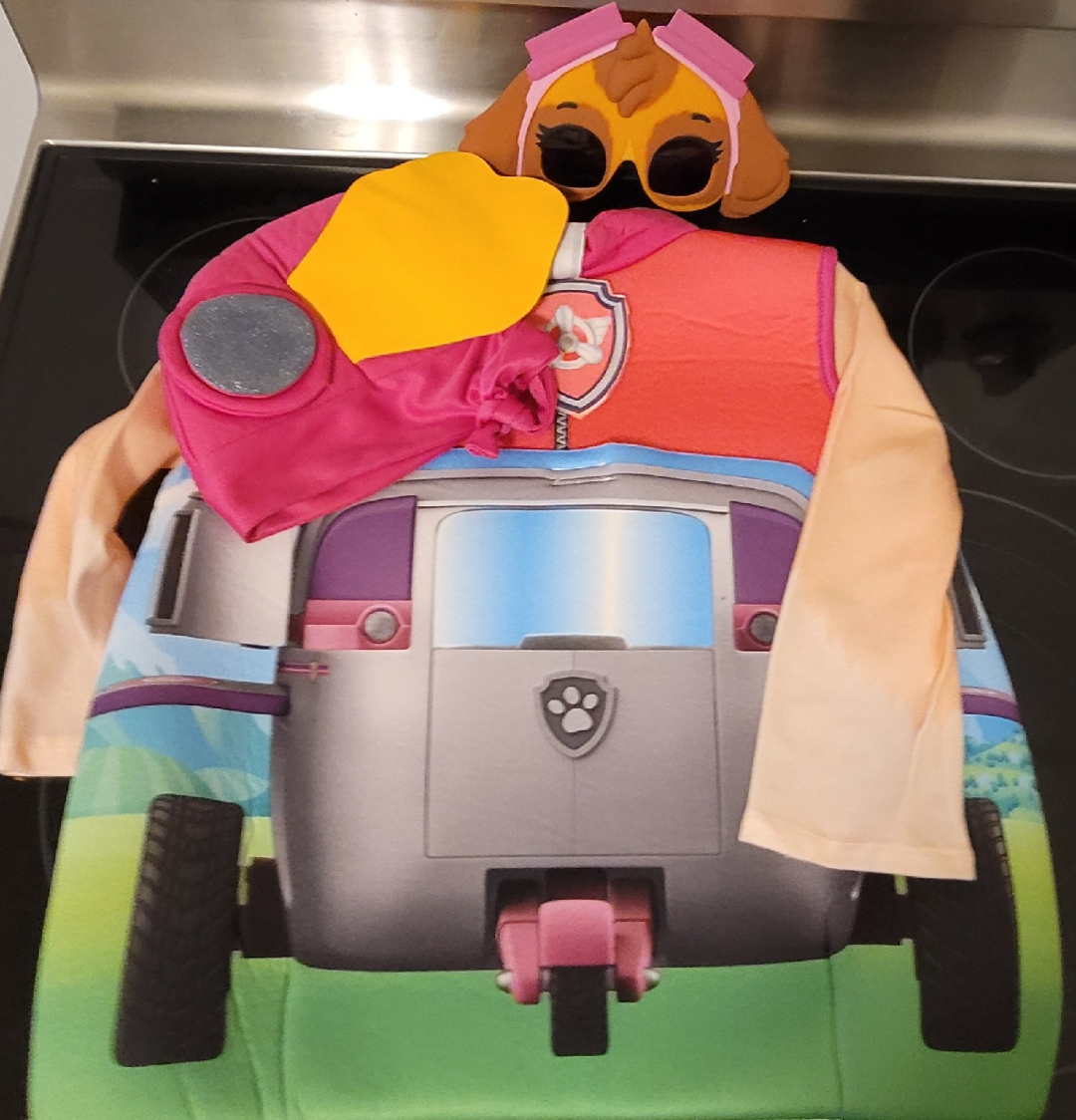 Paw Patrol Skye Costume - Size Small