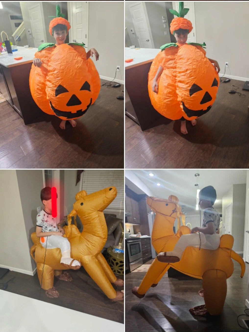 Inflatable Halloween Costume (New never used, Each $25)