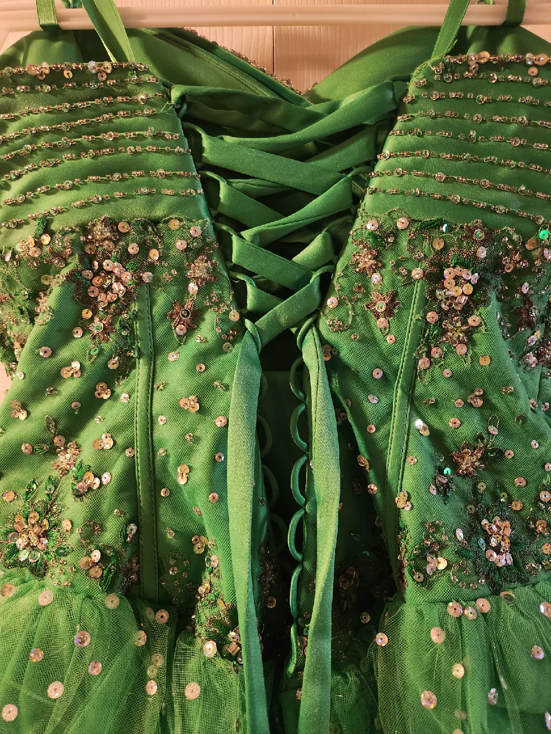 Green Sequin Corset Dress image indicator(5)