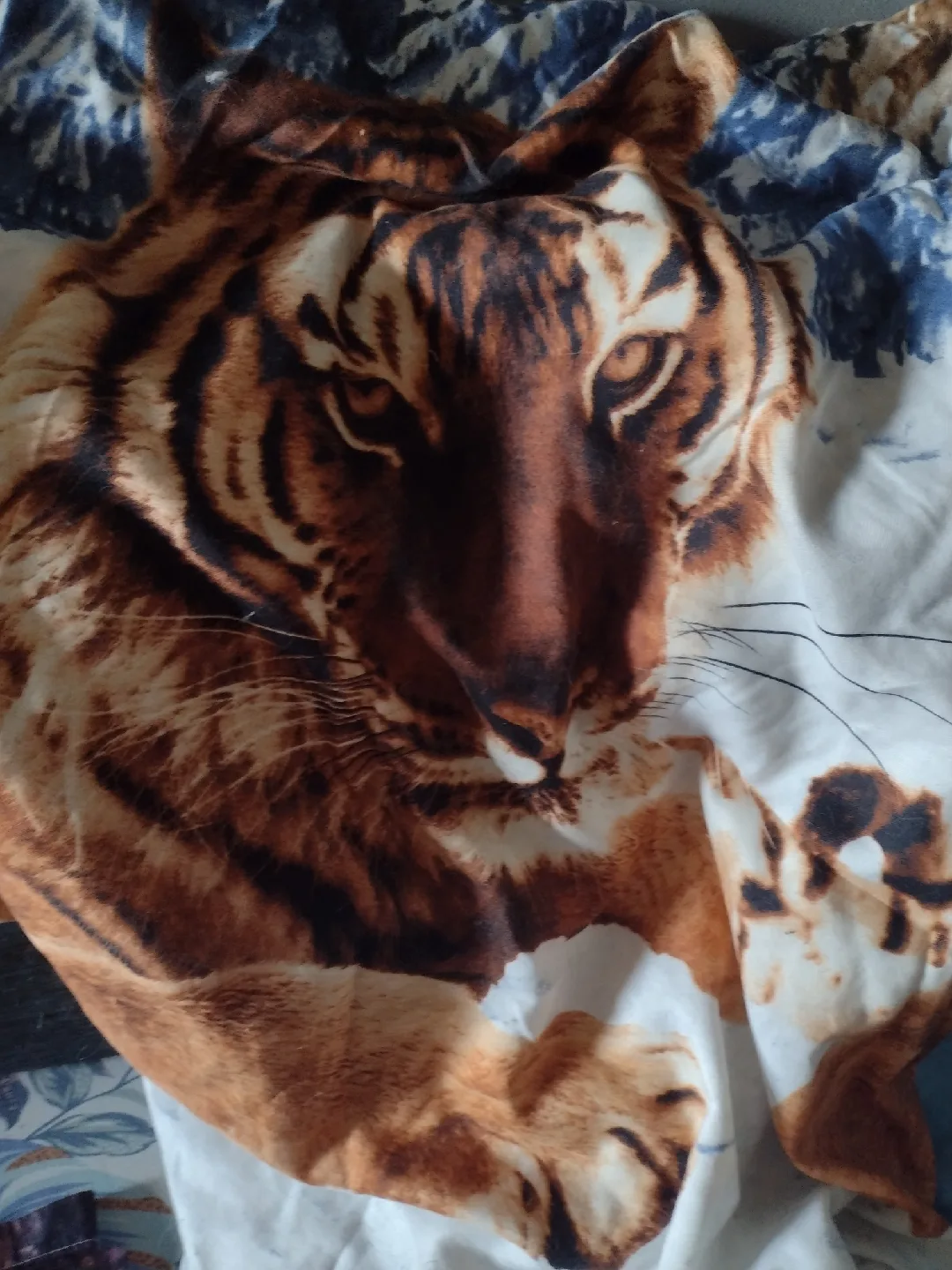 Duvet Sets image indicator(2)