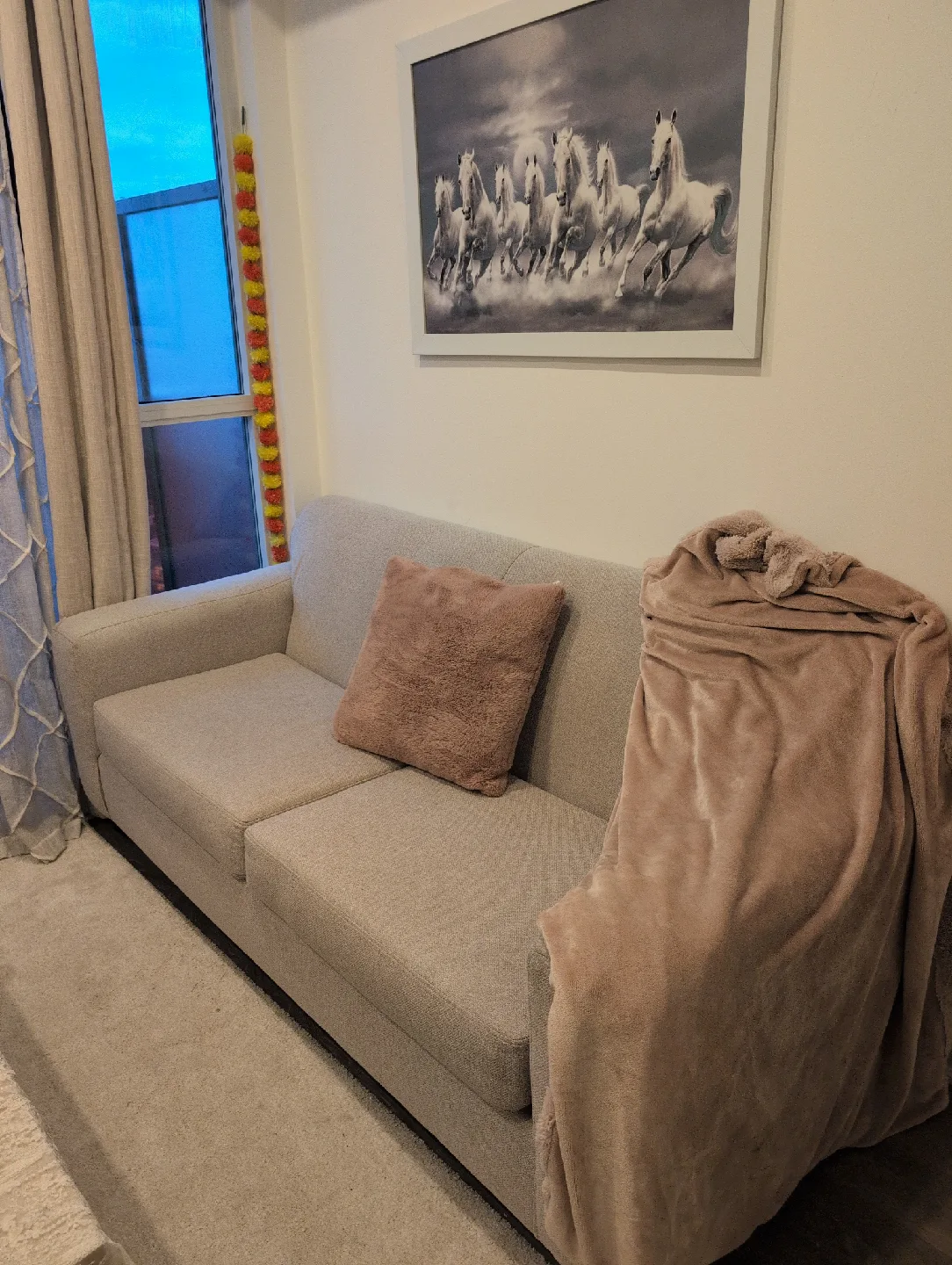Light Grey Sofa thumbnail