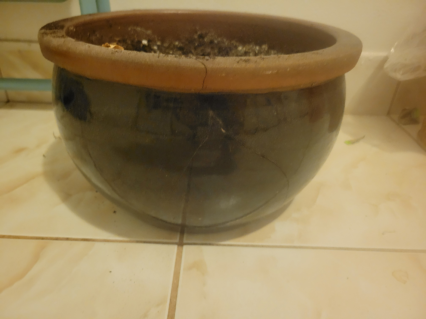 large ceramic plant pot