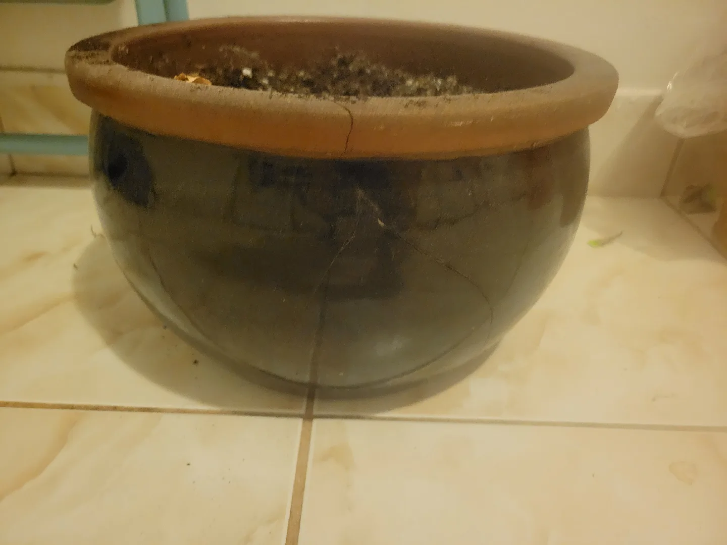large ceramic plant pot thumbnail