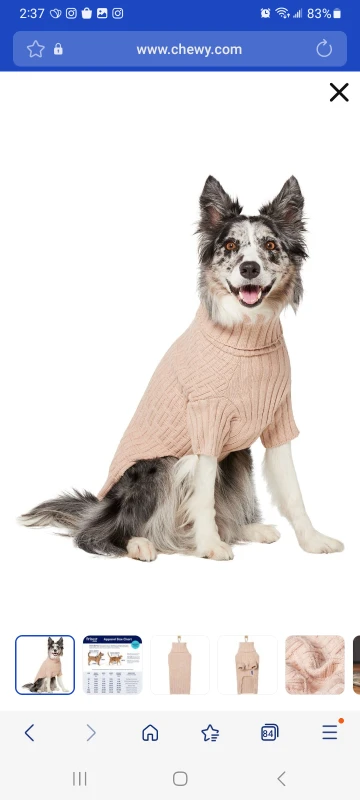 Frisco Dog Turtleneck Sweater - Size Large - photo 4