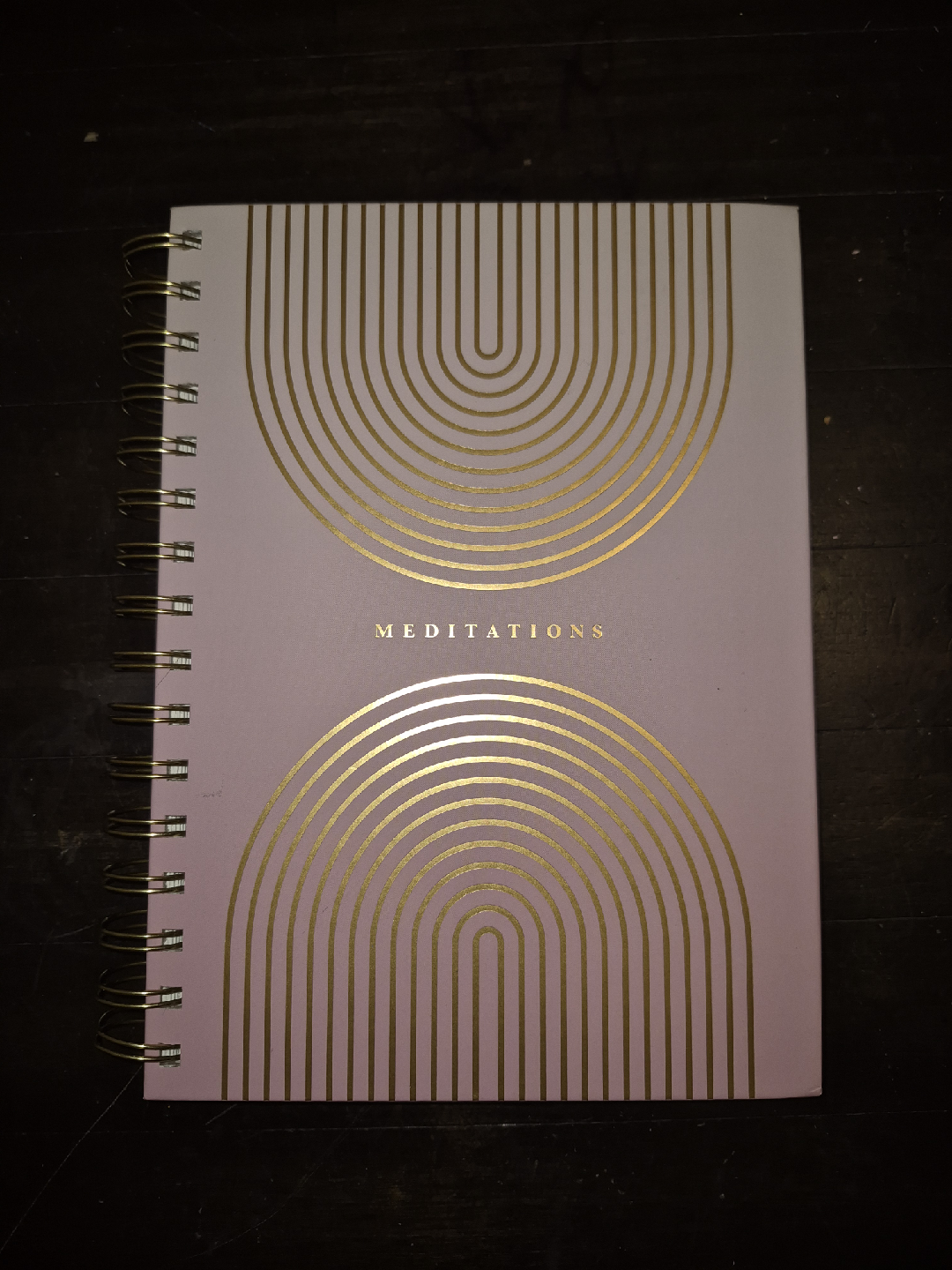Think Ink Meditations Notebook🧡