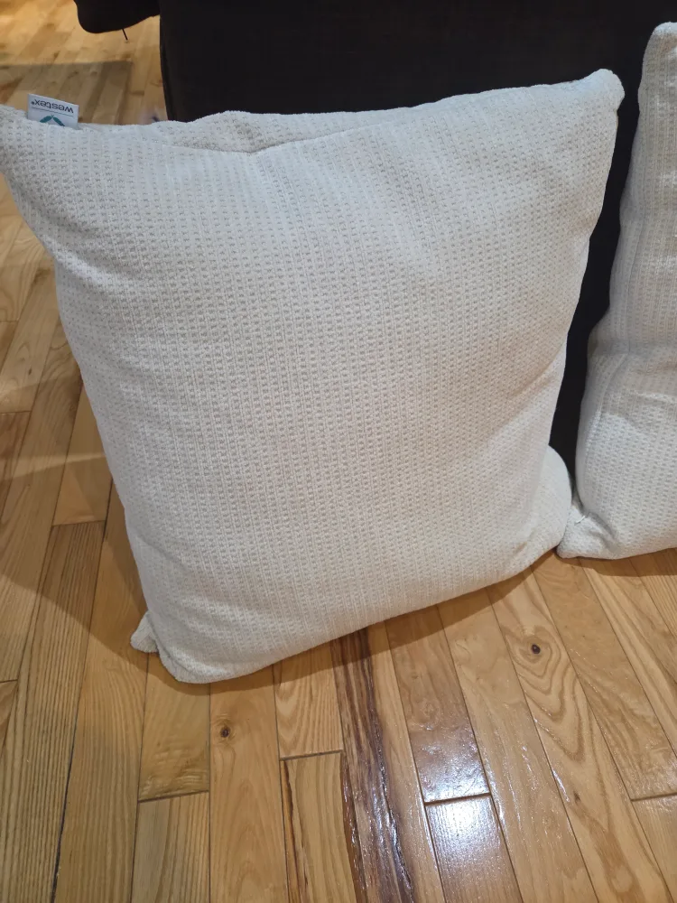 Westex Home Decorative Pillows (Set of 2) image indicator(2)