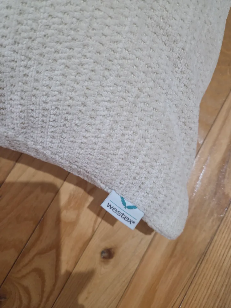 Westex Home Decorative Pillows (Set of 2) image indicator(3)