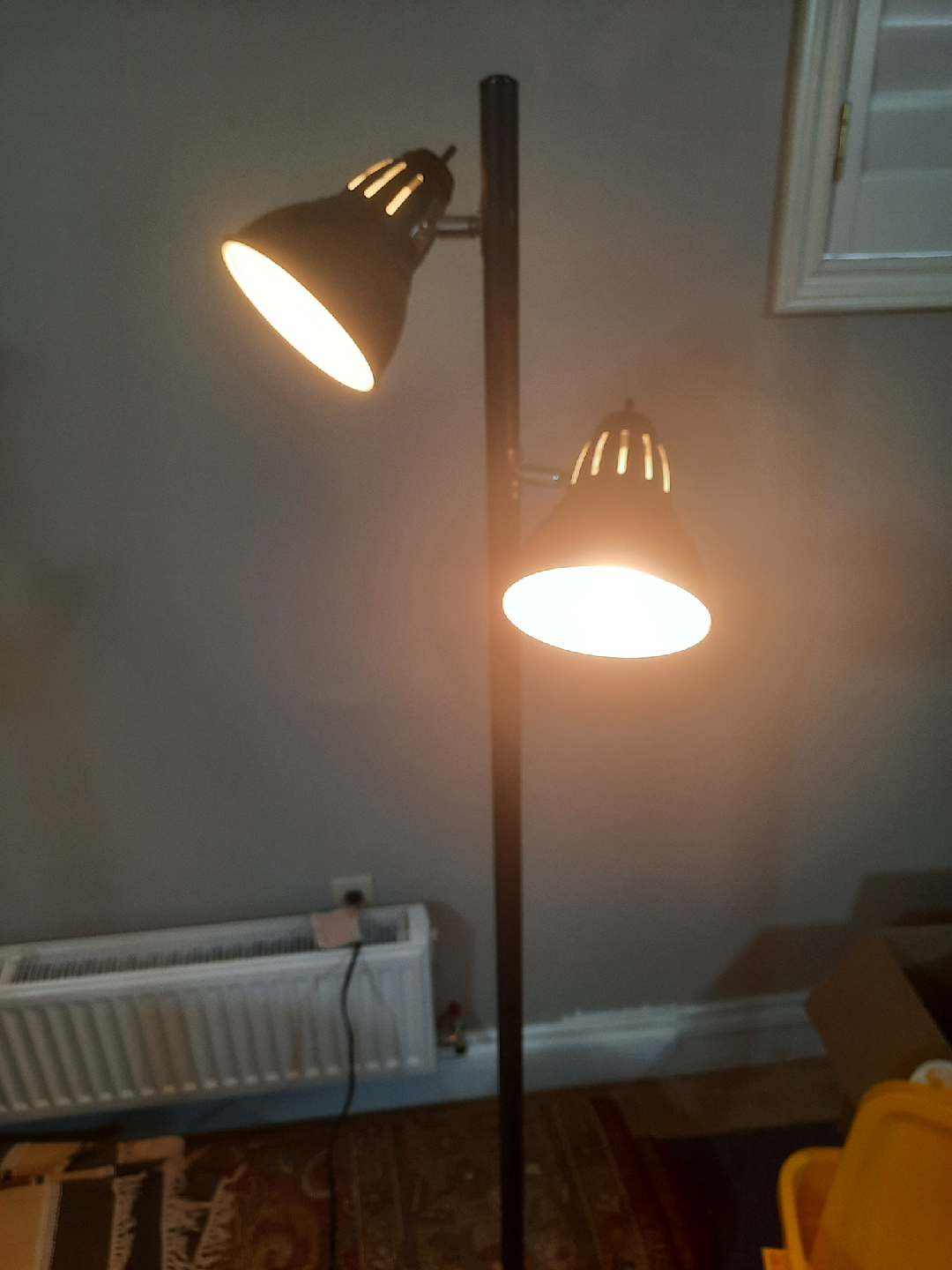 Black Floor Lamp with Two Adjustable Lights
