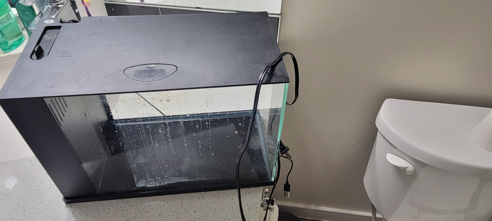 Top Fin Aquarium