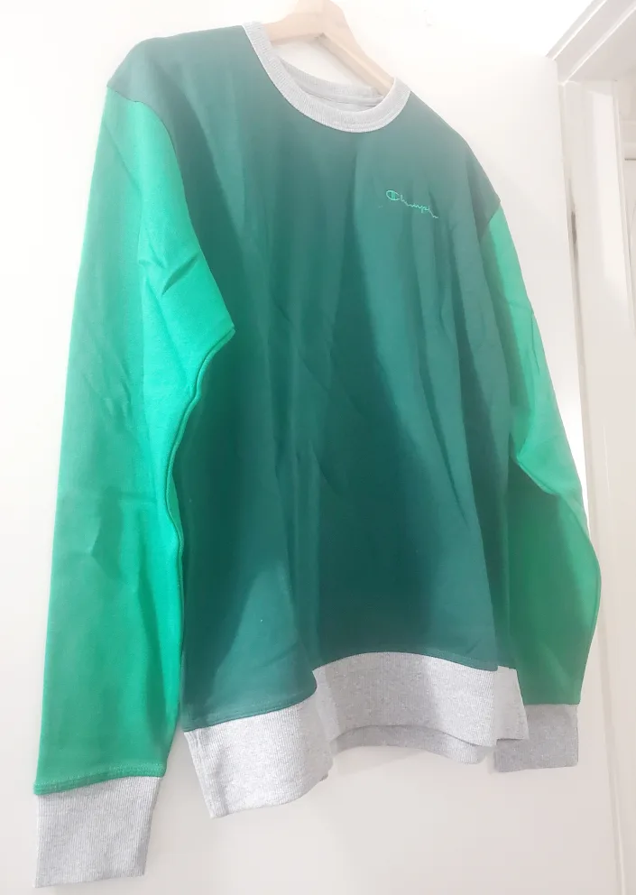 Champion Pullover Sweaters image indicator(3)