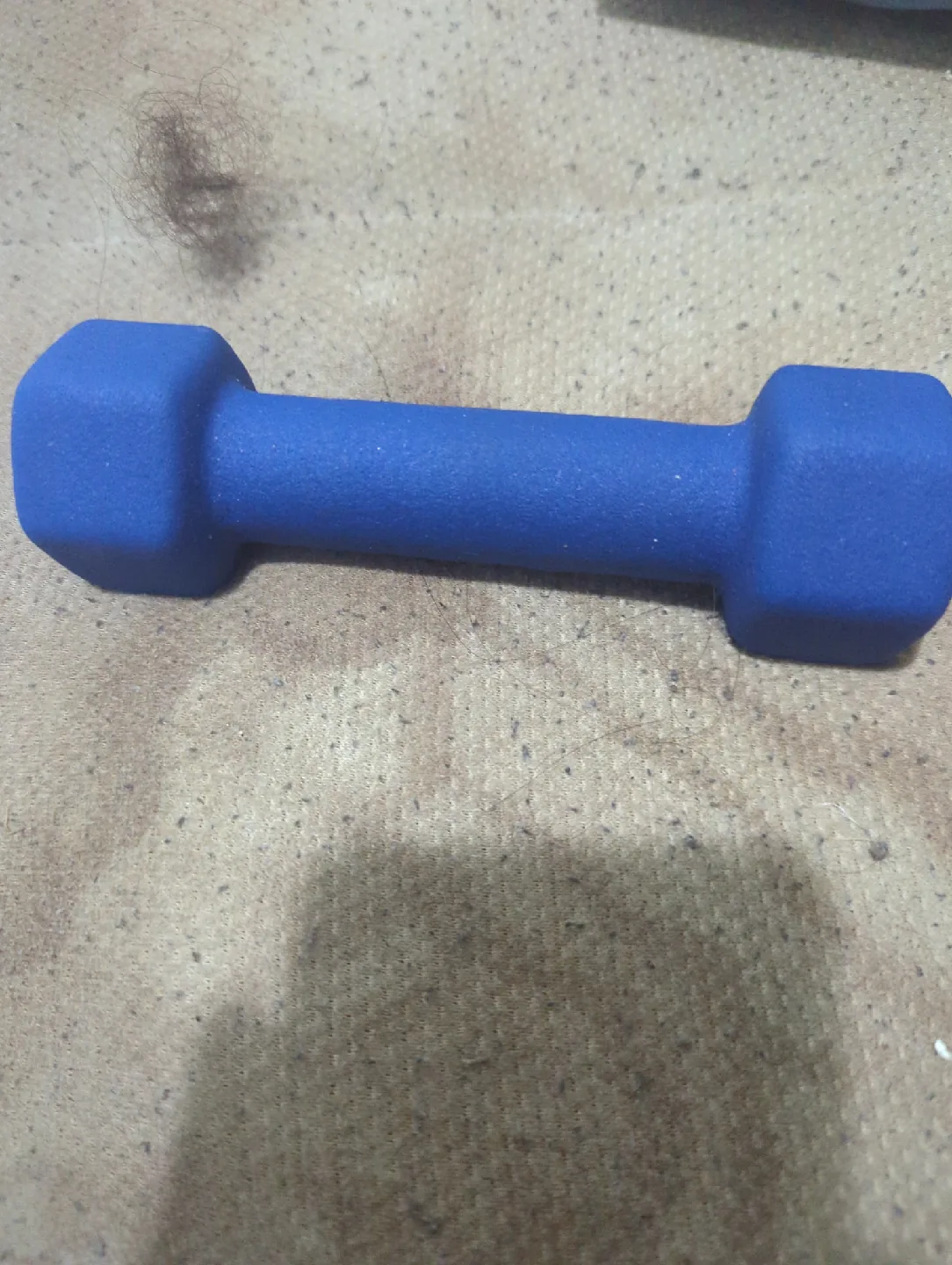 Blue 2 LB Dumbbell image indicator(2)