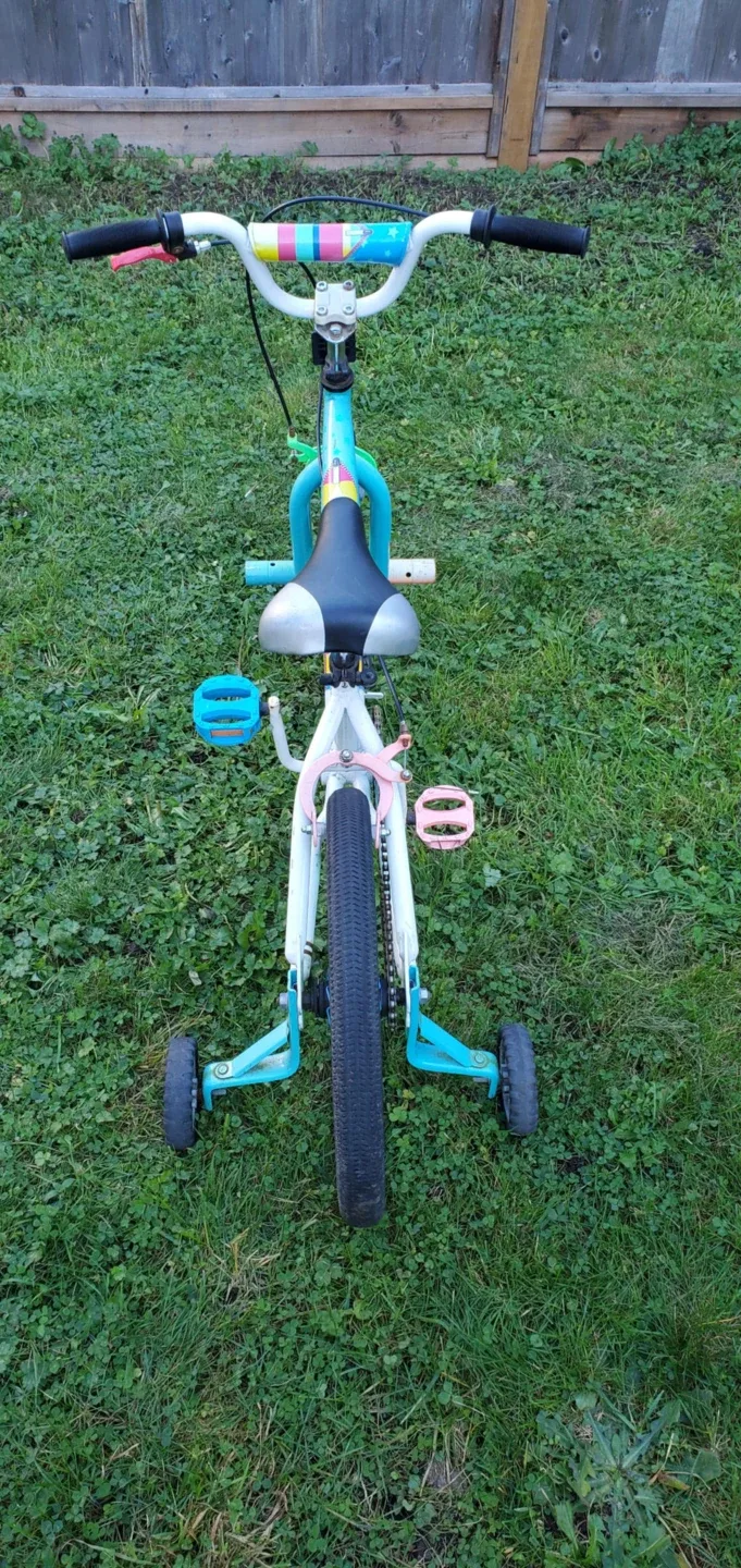 18" Kids Bike - Training Wheels image indicator(4)