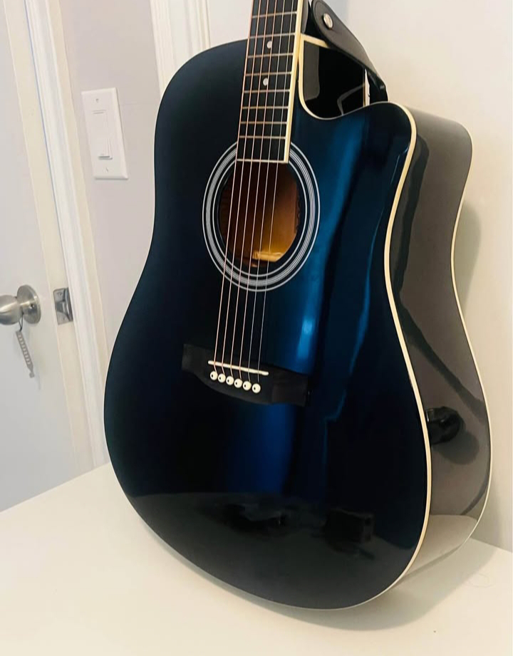 Harley Benton Acoustic Guitar - photo 5