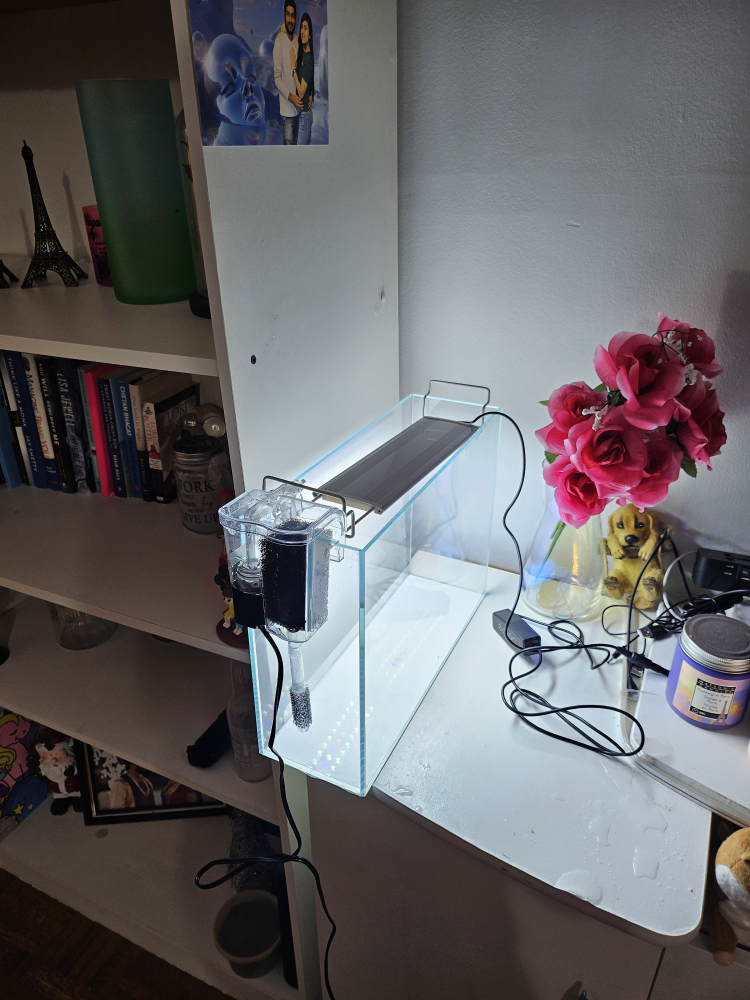 Aquarium Tank with Filter and led lights