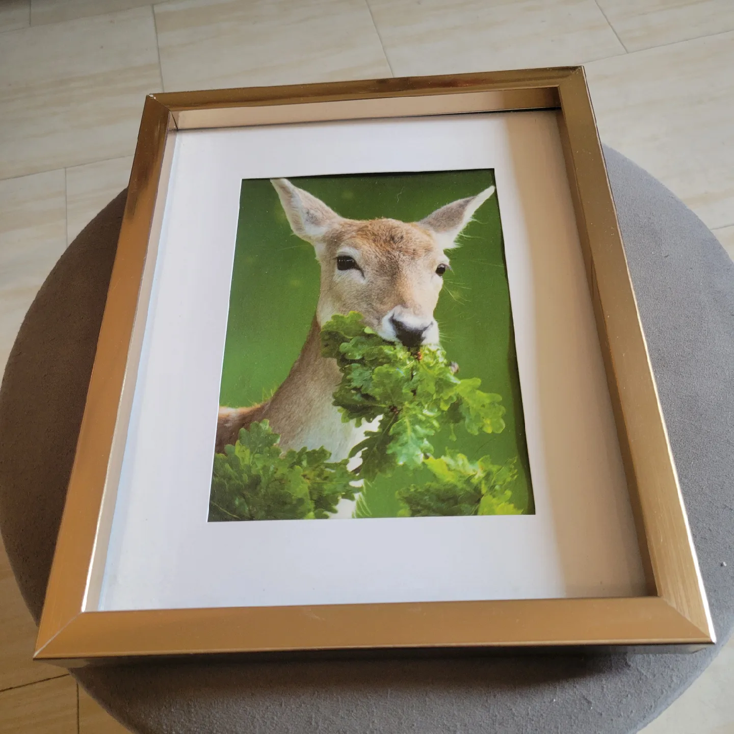 Framed Deer Print thumbnail