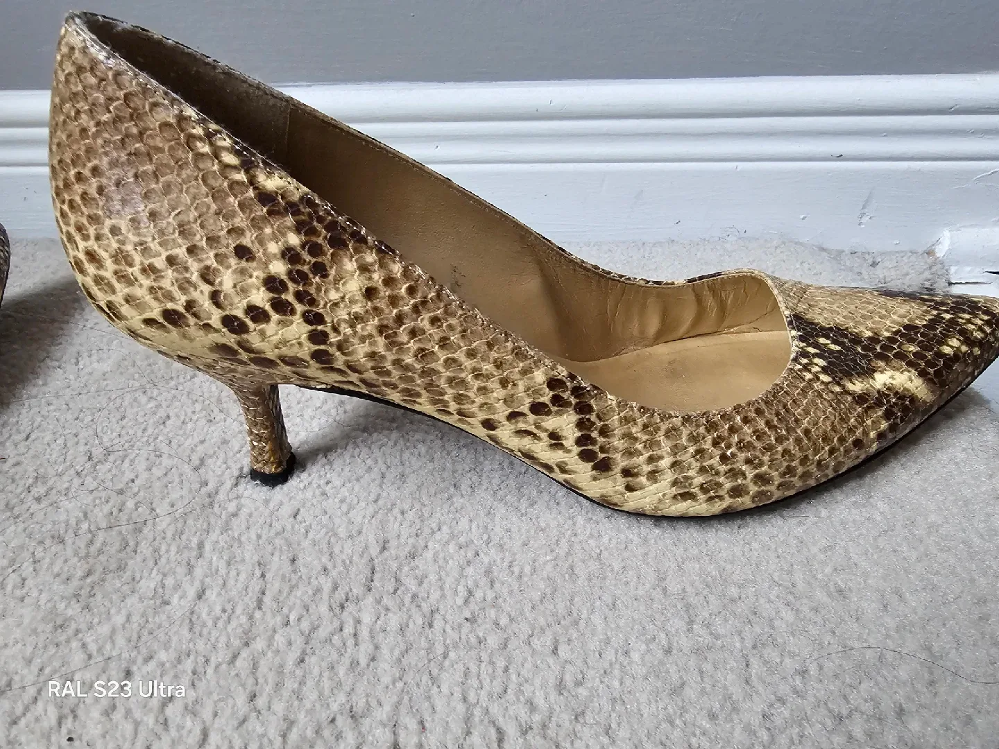 Stuart Weitzman Snakeskin Pumps, Size 10 image indicator(2)