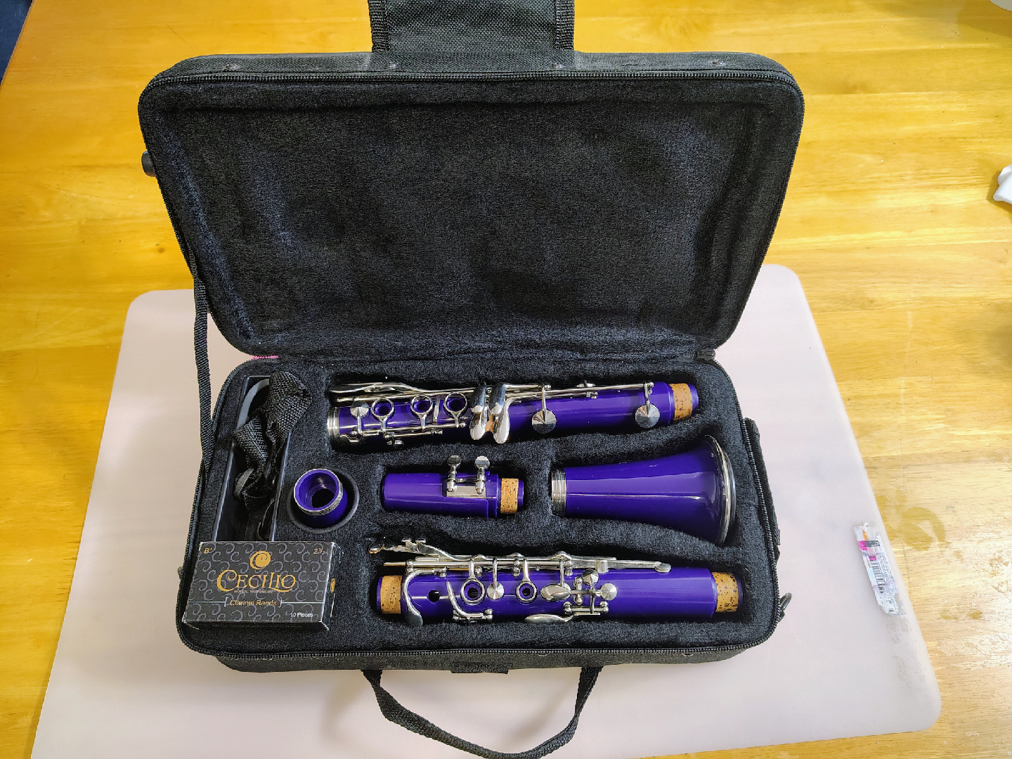 Cecilio Mendini Clarinet Purple with Case