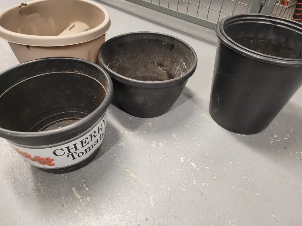 Assorted  Plant Pots + 20 L super soil bag image indicator(3)