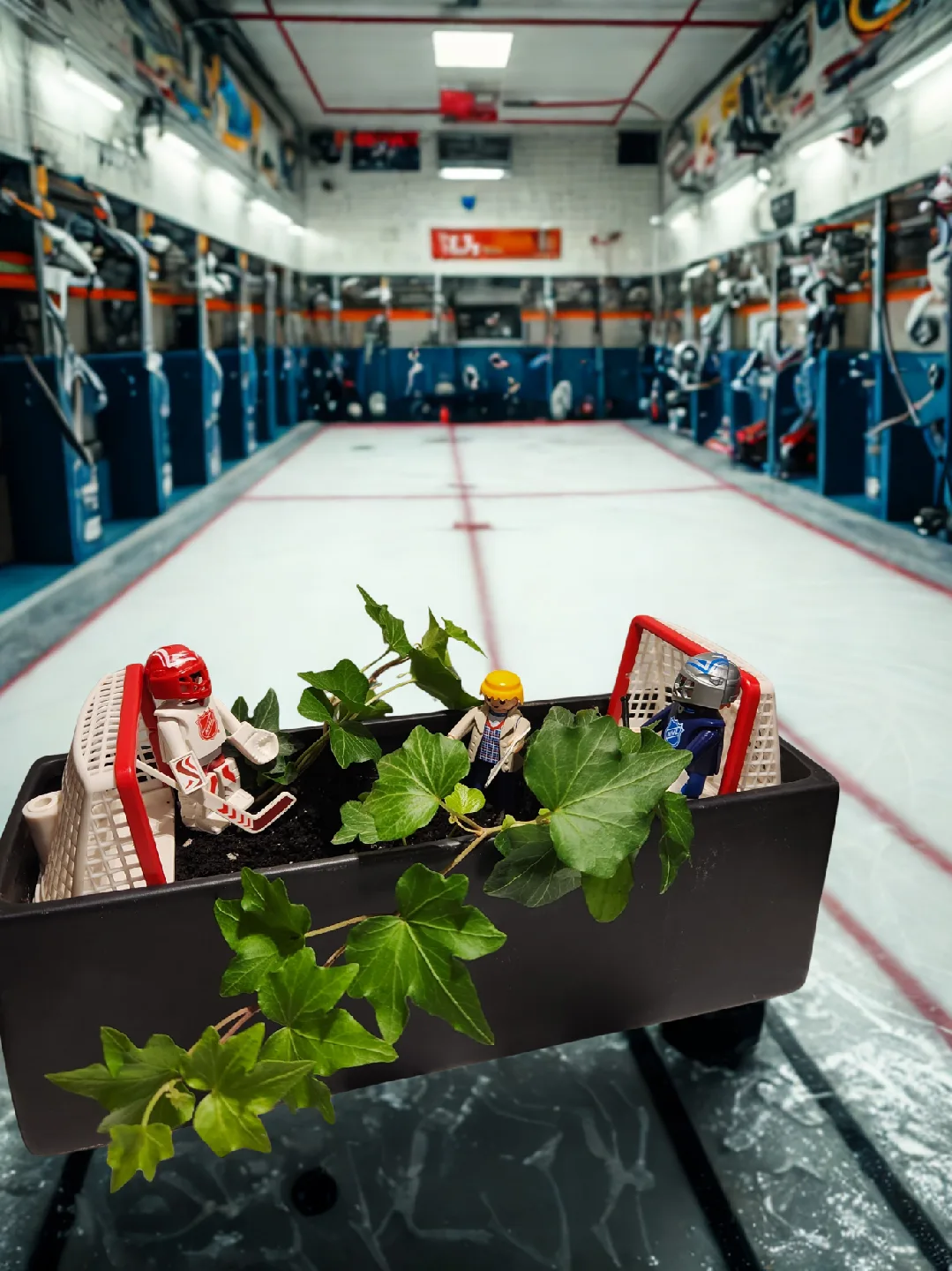 hockey insipred planter with ivy plants thumbnail