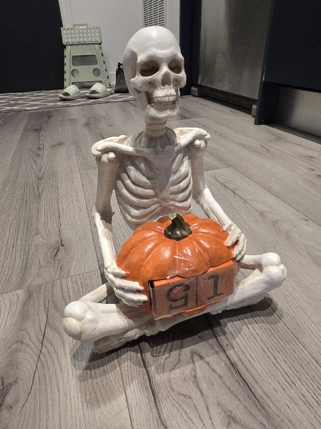 HomeSense Halloween Skeleton Decoration
