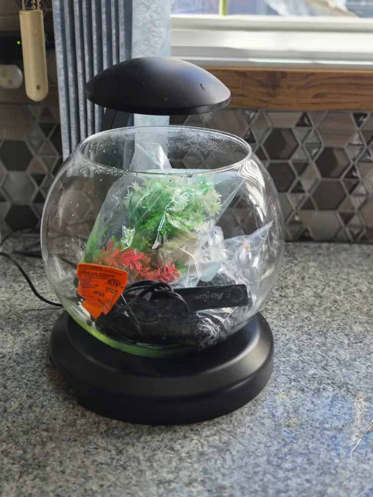Fish Bowl with accessories image indicator(5)
