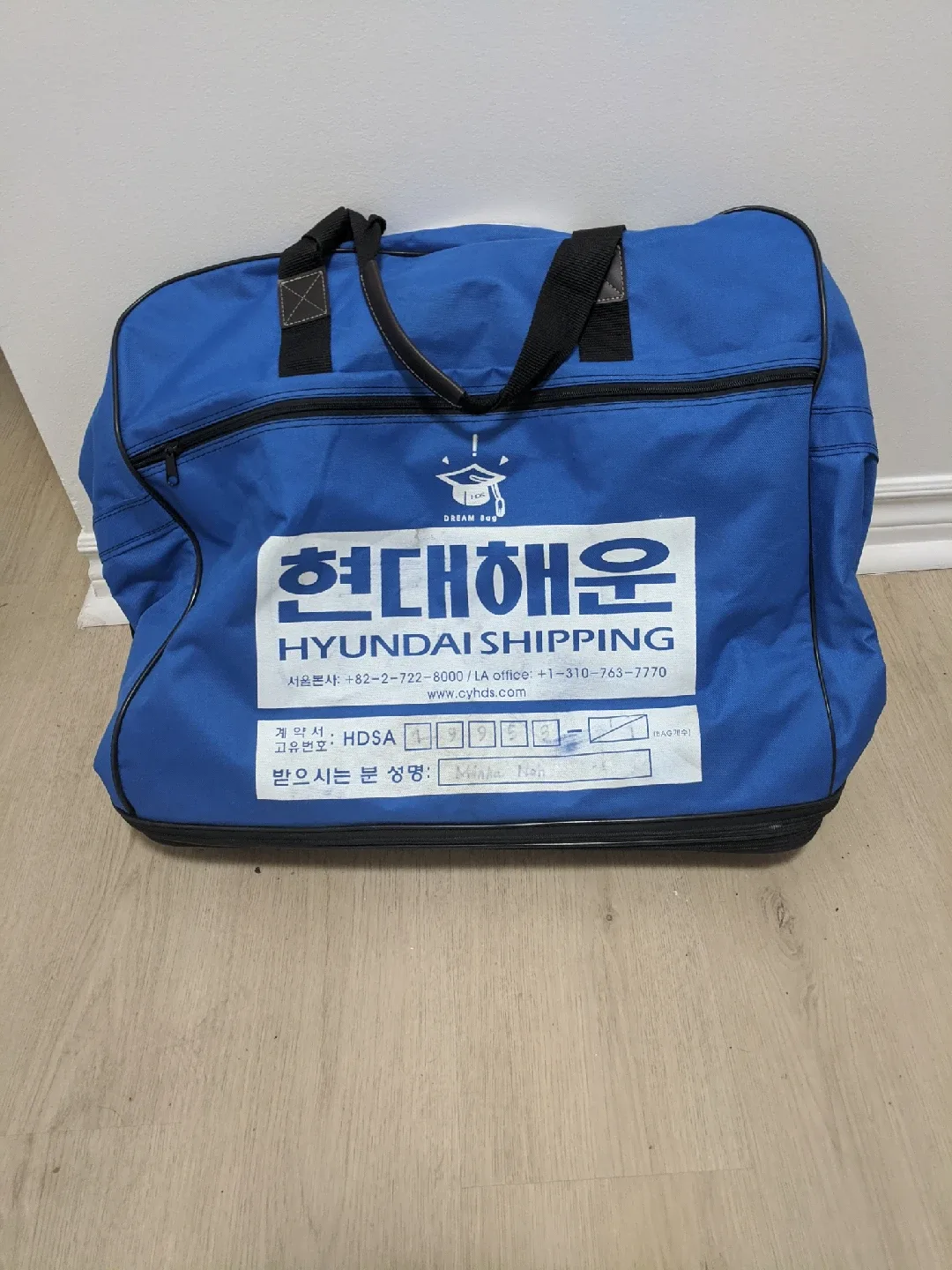 Hyundai Shipping Blue Moving Bag thumbnail